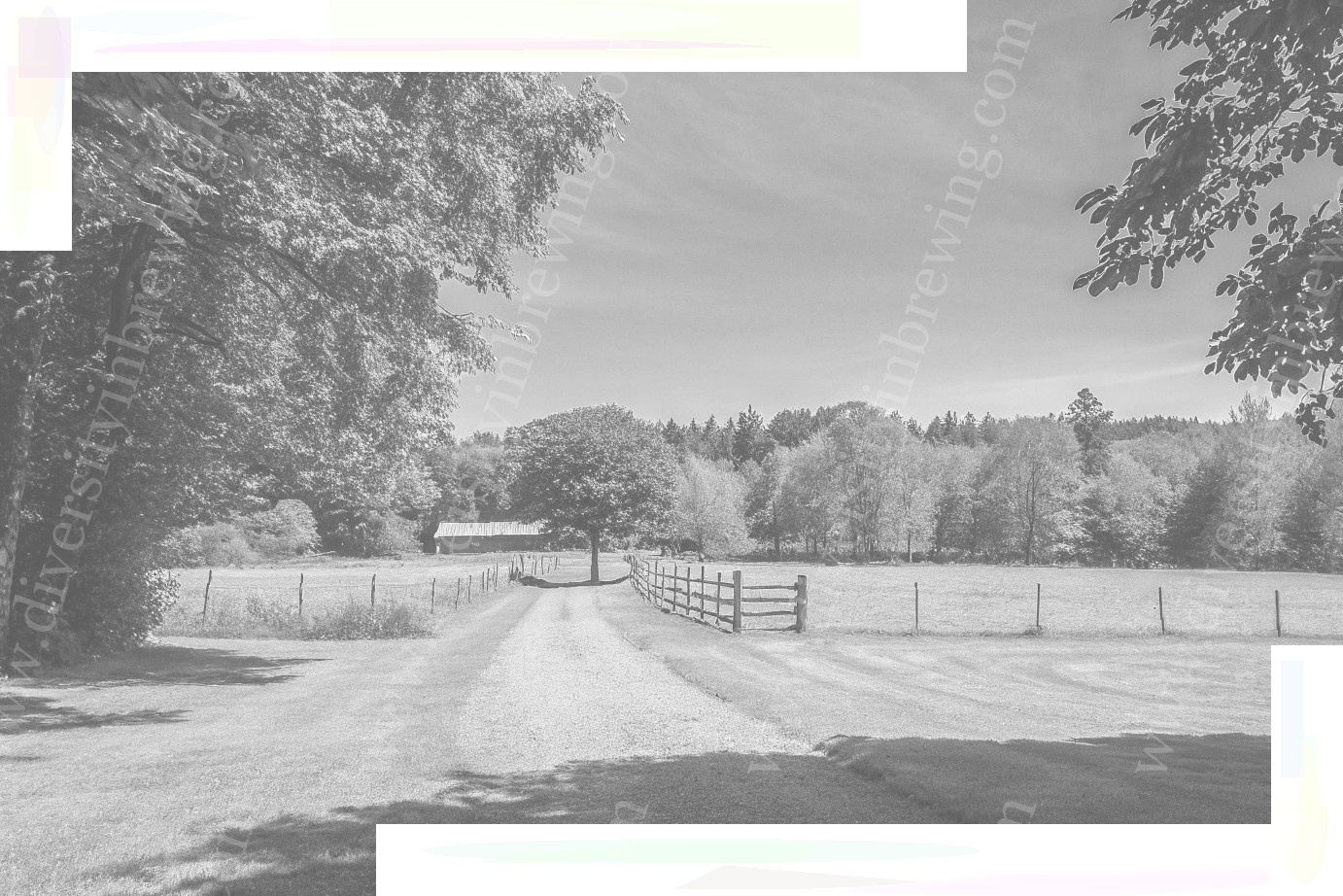 Understanding Washington State Easement Laws: A Complete Guide